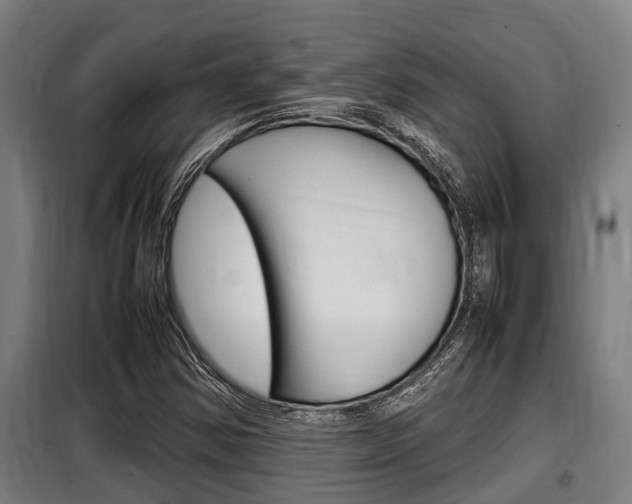 X0000098071354200804040718
