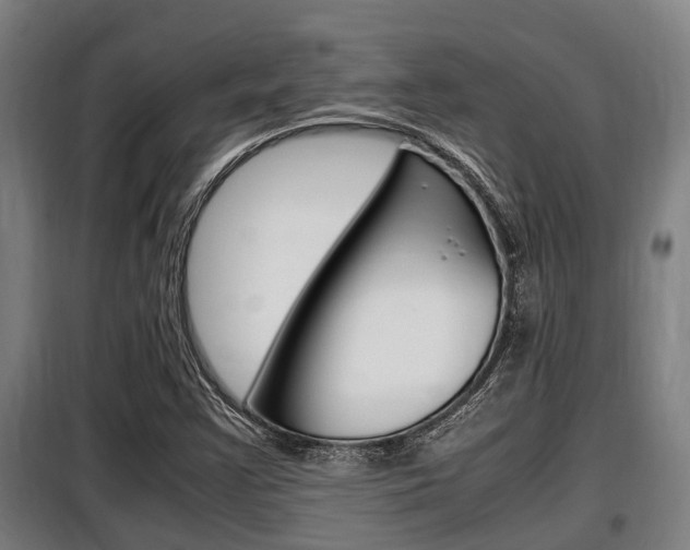 X0000098071355200804040718
