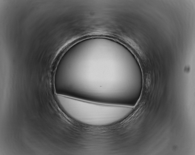 X0000098071356200804040718