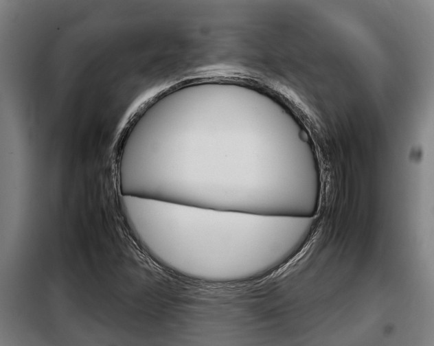 X0000098071358200804040718