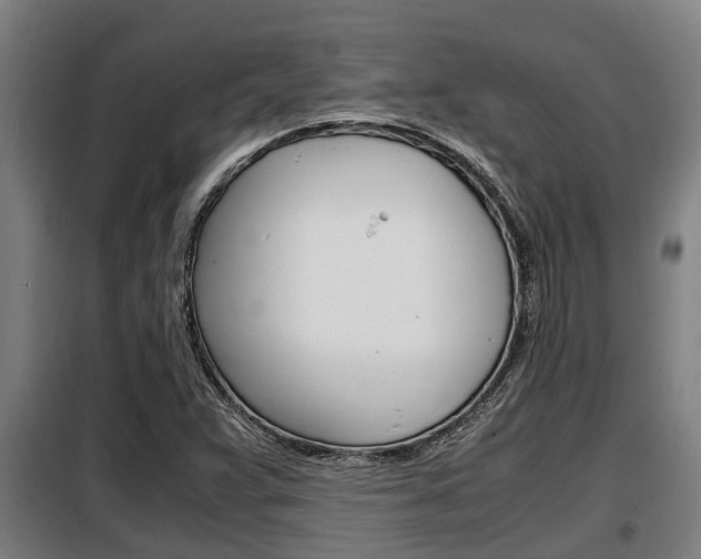 X0000098071359200804040718