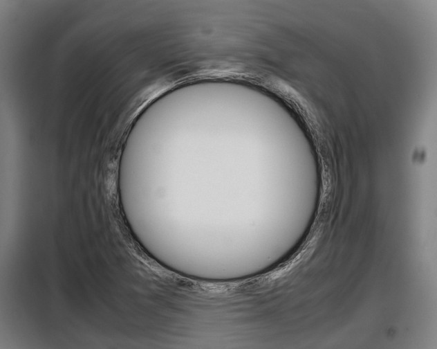 X0000098071361200804040718