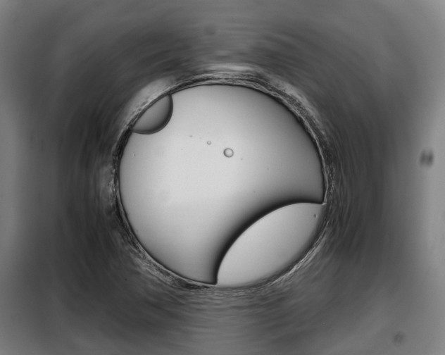 X0000098071362200804040718