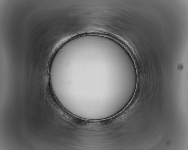 X0000098071363200804040718