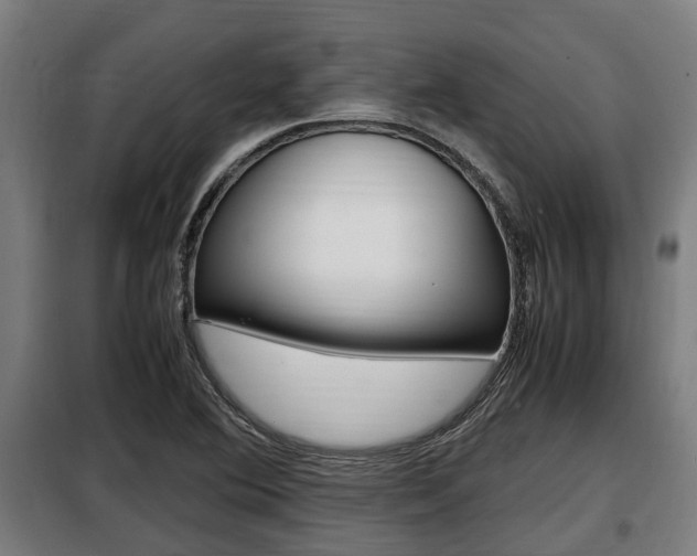 X0000098071364200804040718