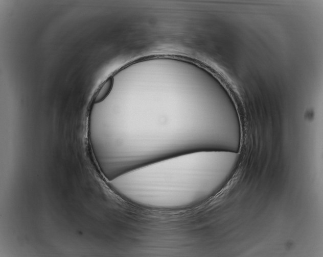 X0000098071366200804040718