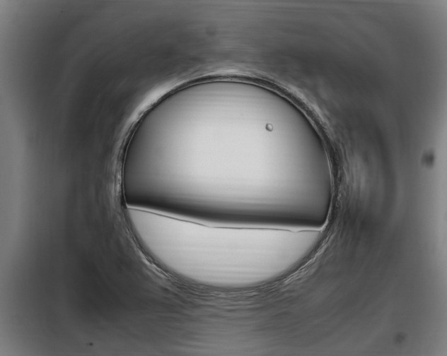 X0000098071367200804040718