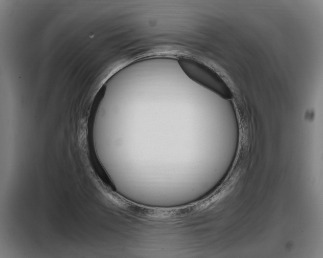 X0000098071369200804040718