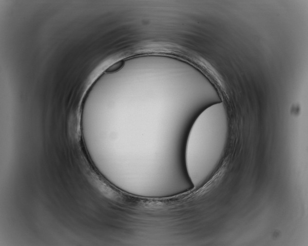 X0000098071370200804040718