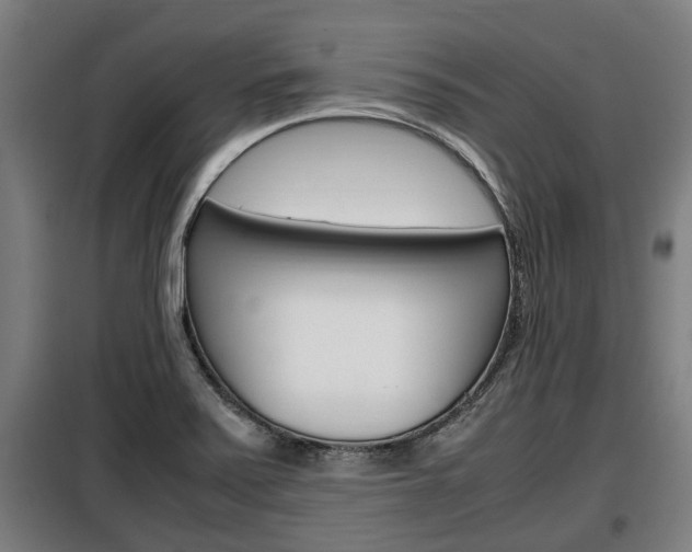 X0000098071371200804040718