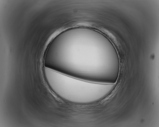 X0000098071373200804040718