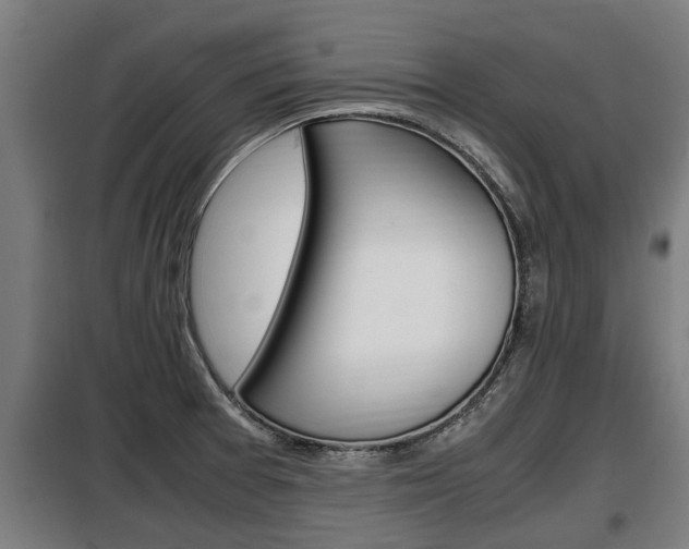 X0000098071377200804040717