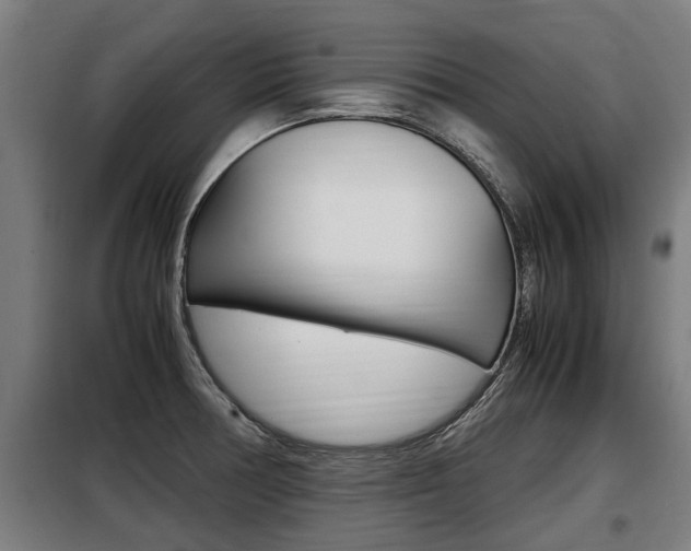 X0000098071378200804040717