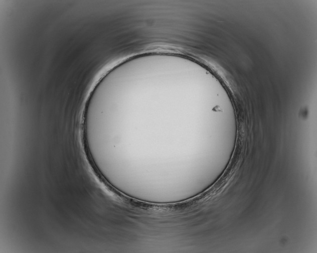 X0000098071379200804040717