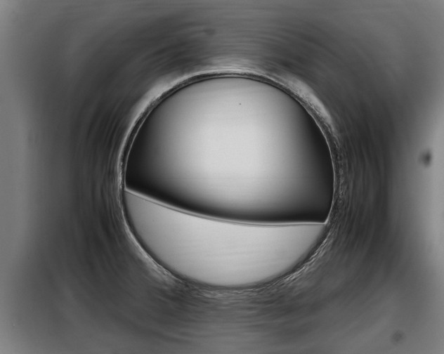 X0000098071380200804040717
