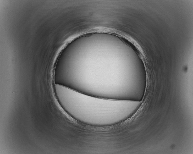 X0000098071381200804040717