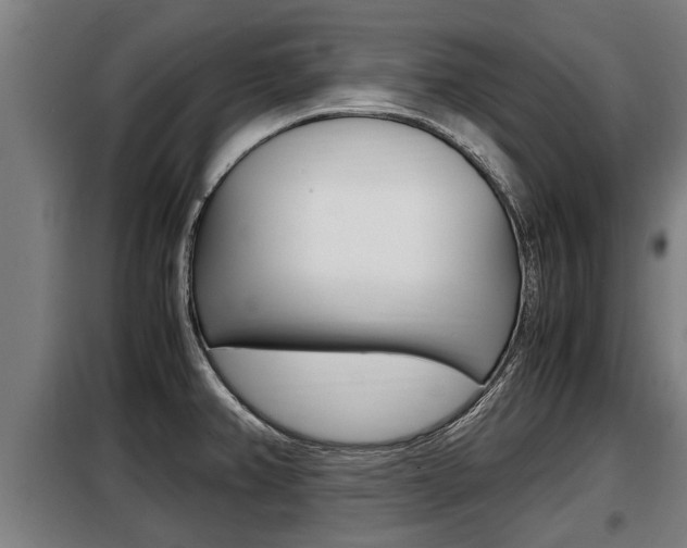 X0000098071382200804040717