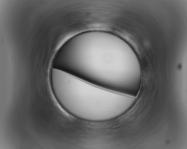 X0000098071383200804040717