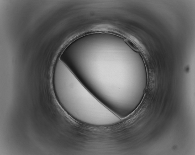 X0000098071384200804040717