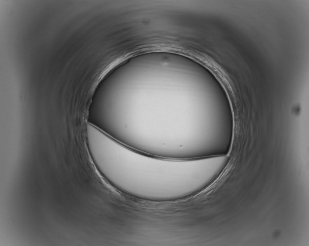X0000098071385200804040717