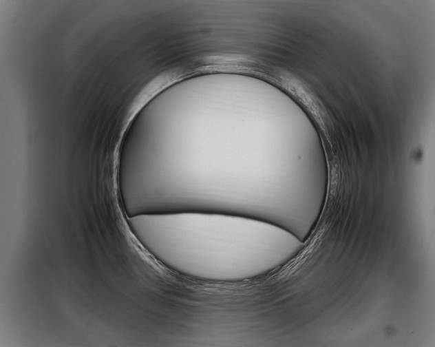 X0000098071386200804040717