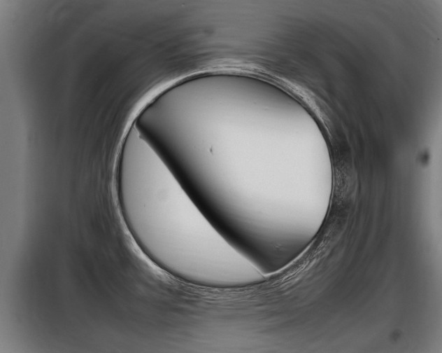 X0000098071387200804040717