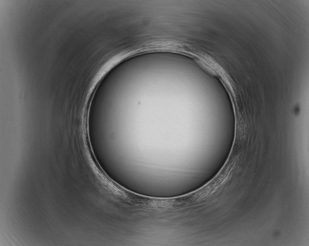 X0000098071389200804040717