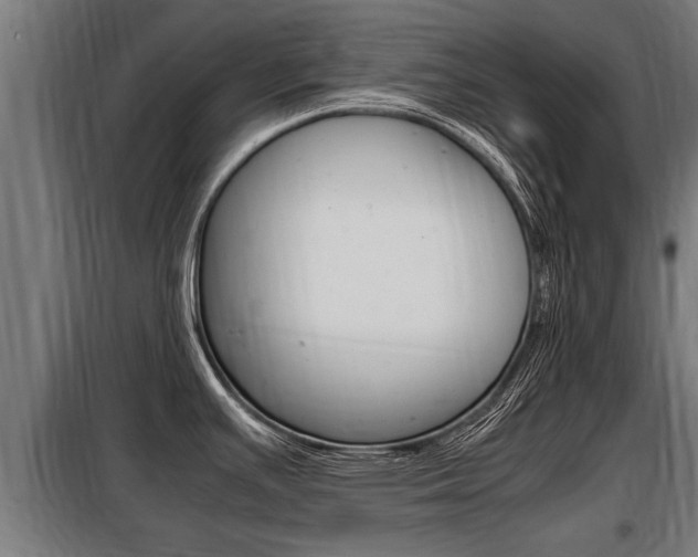 X0000098071391200804040717