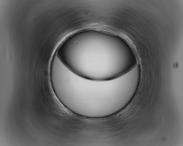 X0000098071392200804040717