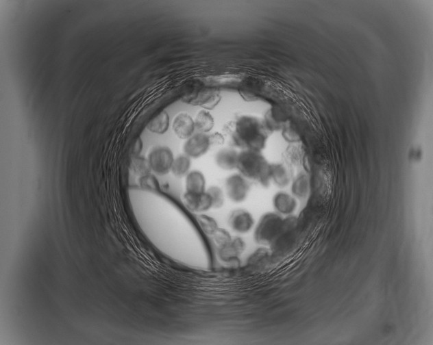 X0000098071393200804040716