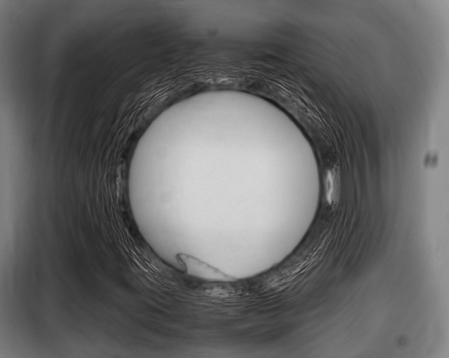 X0000098071395200804040716