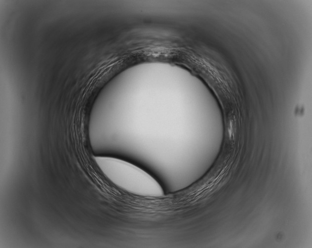 X0000098071396200804040716