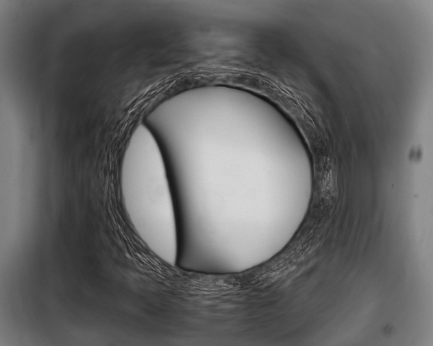 X0000098071397200804040716