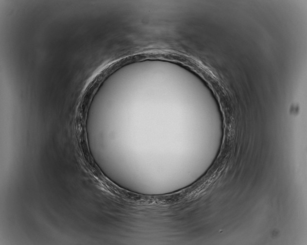 X0000098071400200804040717