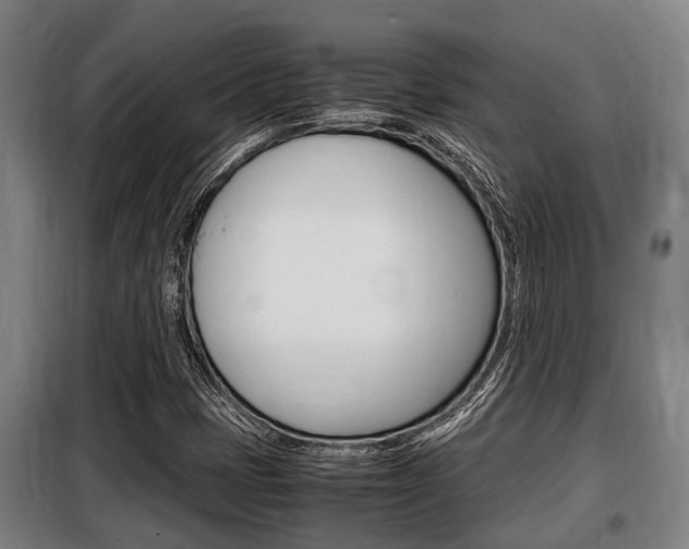 X0000098071401200804040717