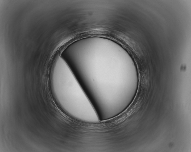 X0000098071402200804040717