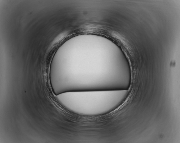 X0000098071403200804040717