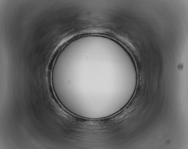X0000098071404200804040717