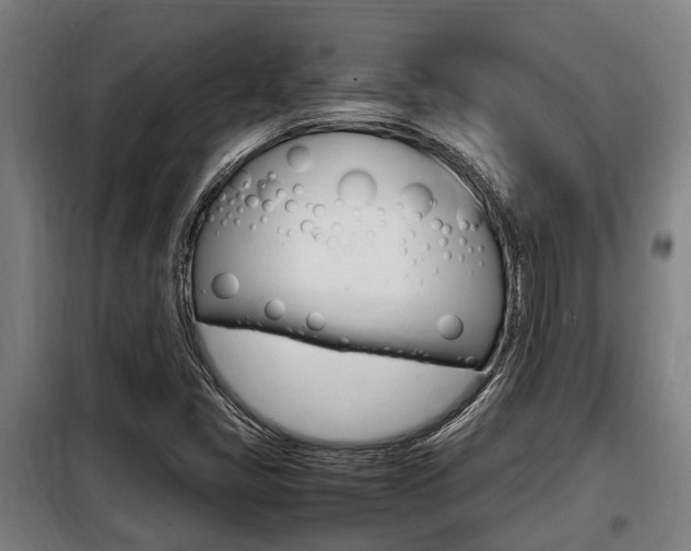 X0000098071405200804040717