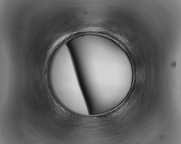 X0000098071406200804040717
