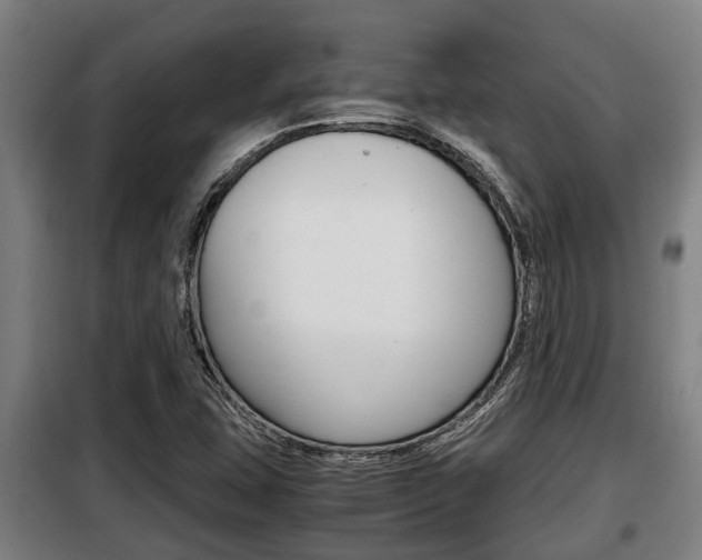 X0000098071407200804040717