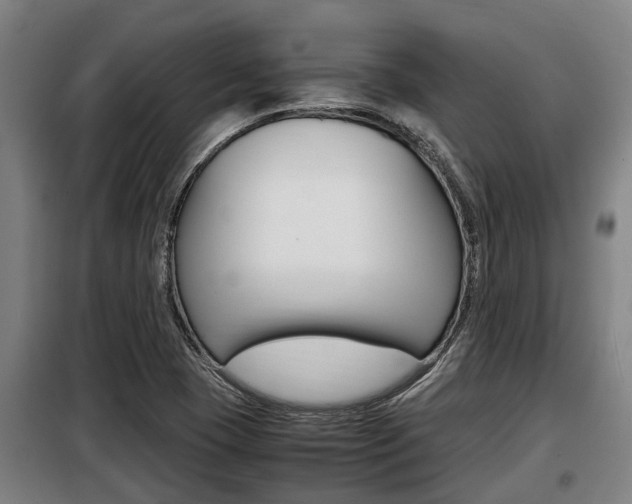 X0000098071409200804040717