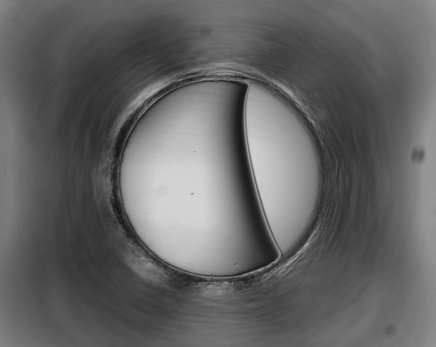 X0000098071410200804040717