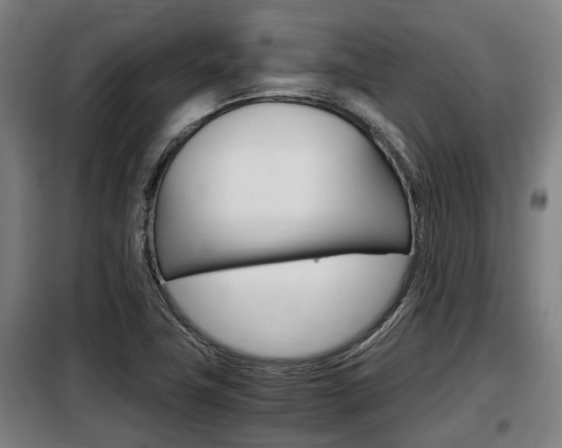 X0000098071411200804040717