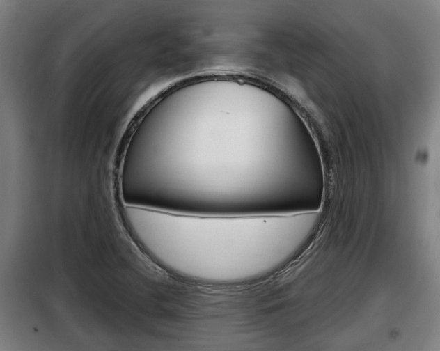 X0000098071412200804040717