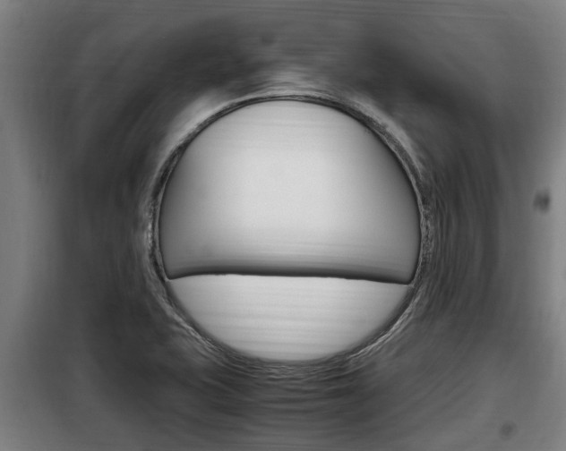 X0000098071415200804040717