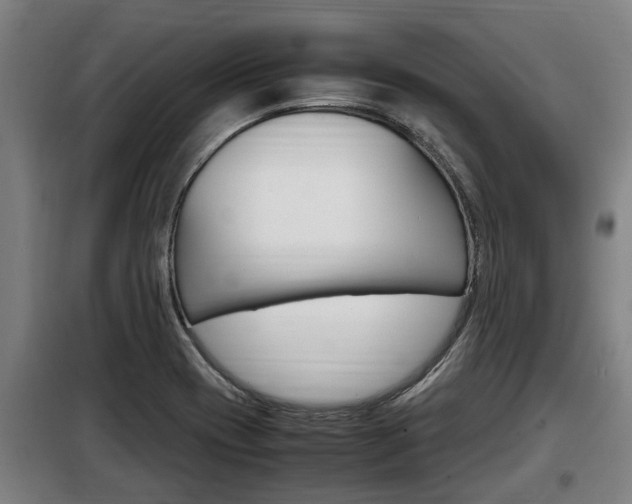 X0000098071417200804040717