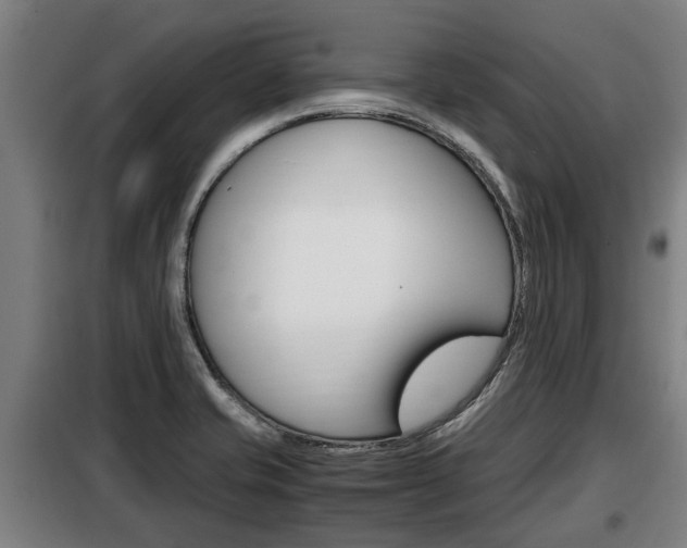 X0000098071421200804040717