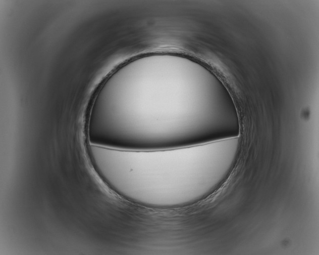 X0000098071422200804040717