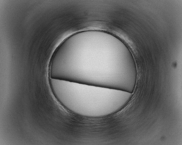 X0000098071423200804040717